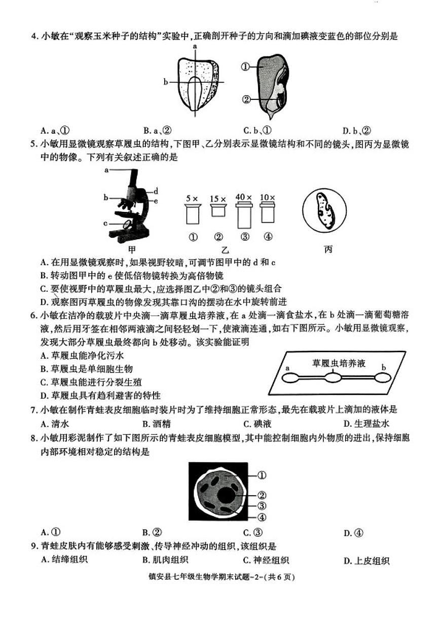2025-2026学年陕西省商洛市镇安县第一学期期末考试七年级生物学试题第2页