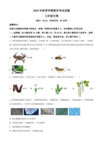 2025-2026学年广西钦州市灵山县七年级上学期期末生物学试题