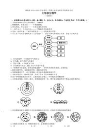 2025-2026学年安徽省芜湖市南陵县度七年级上学期期末考试生物学试题（含答案）