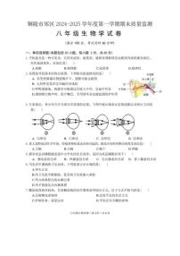 2024-2025学年安徽省铜陵市郊区度第一学期期末质量监测八年级生物学试卷（含答案）