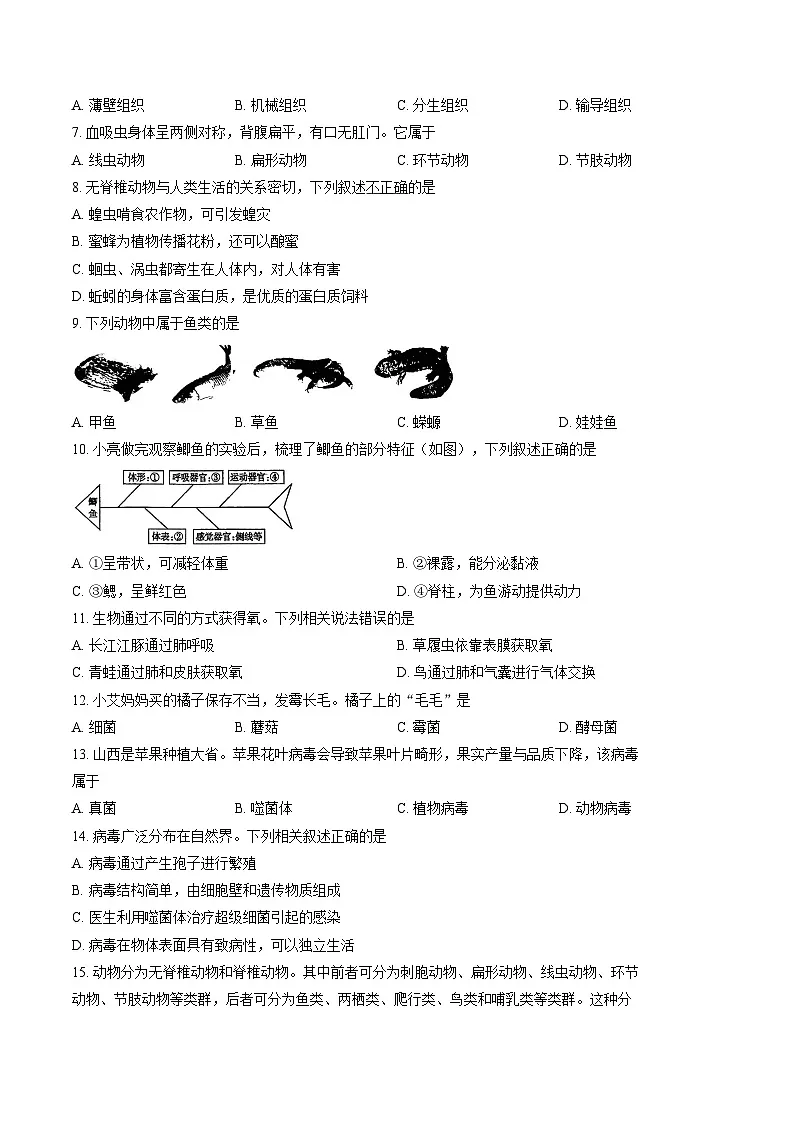 山西省太原市2025_2026学年第一学期期末七年级生物试卷(文字版,含答案)第2页