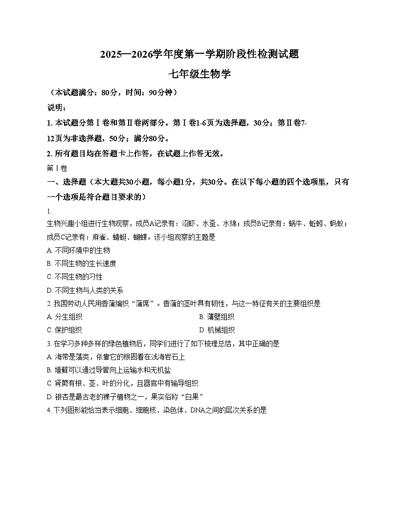 山东省青岛市城阳区城阳区2025_2026学年七年级上学期11月期中生物试题(文字版,含答案)第1页