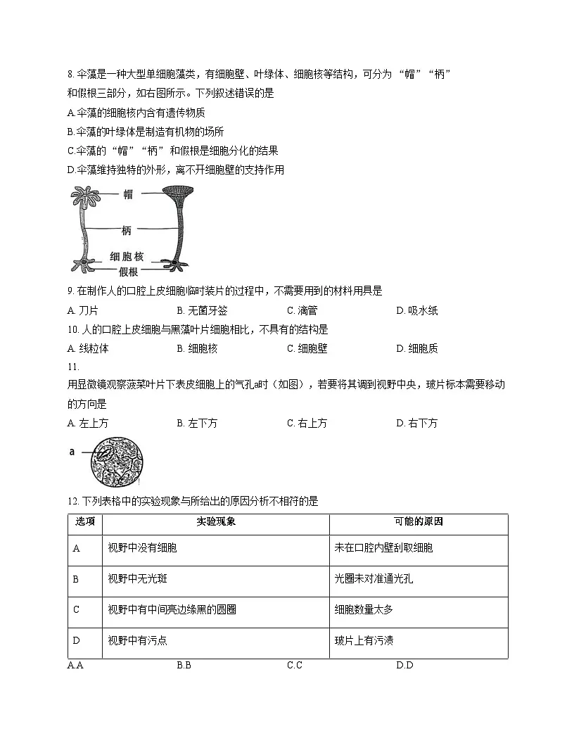 山东省青岛市城阳区城阳区2025_2026学年七年级上学期11月期中生物试题(文字版,含答案)第3页