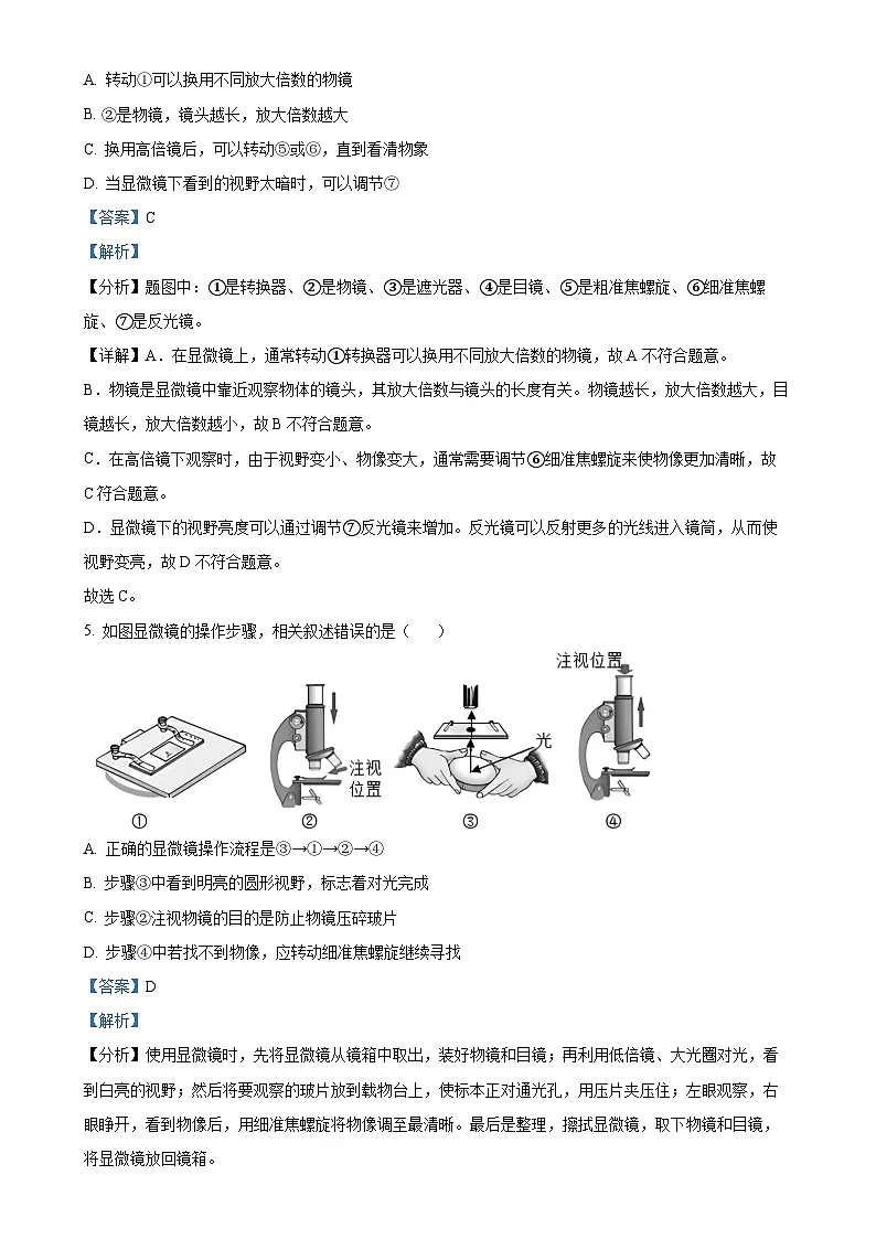 广东省东莞市厚街海月学校七年级上学期期中生物试题(解析版)-A4第3页