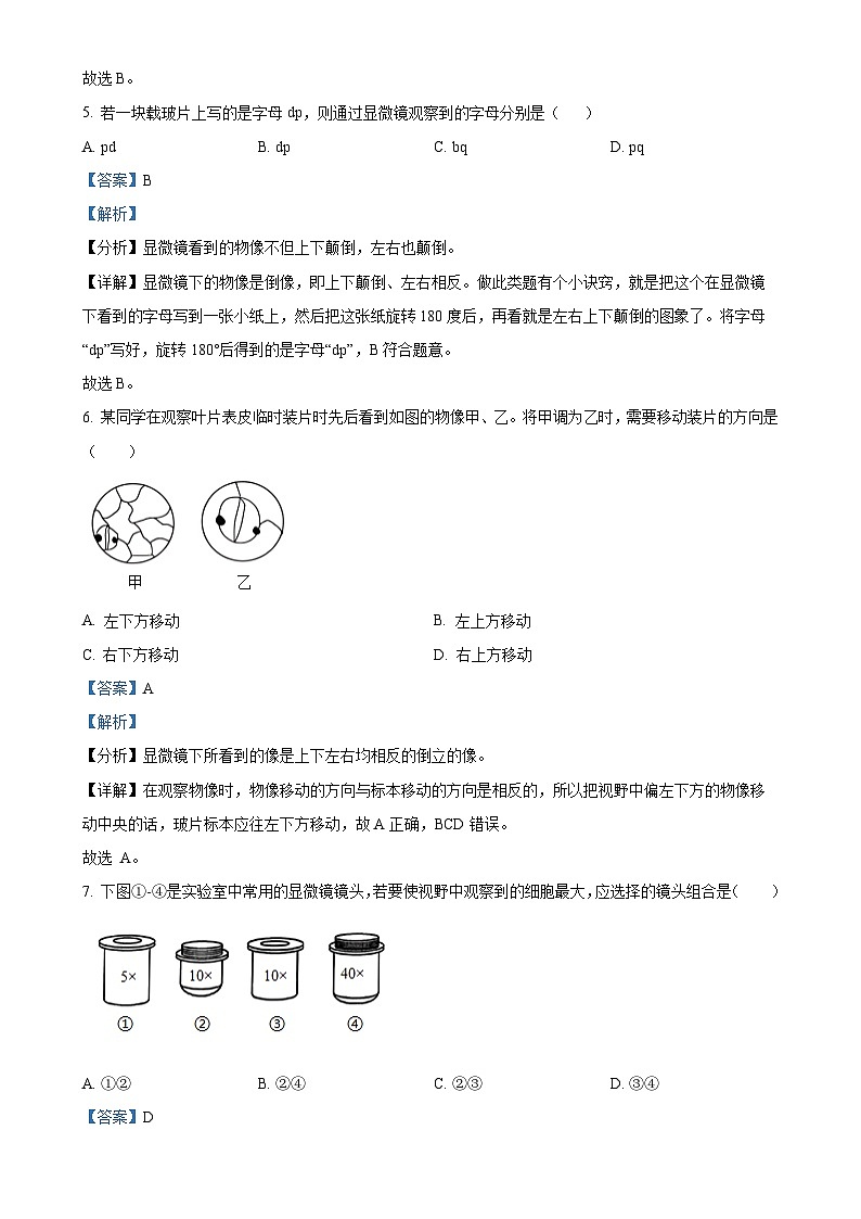 广东省深圳市宝安区宝安新安中学集团七年级上学期期中生物学试题(解析版)-A4第3页