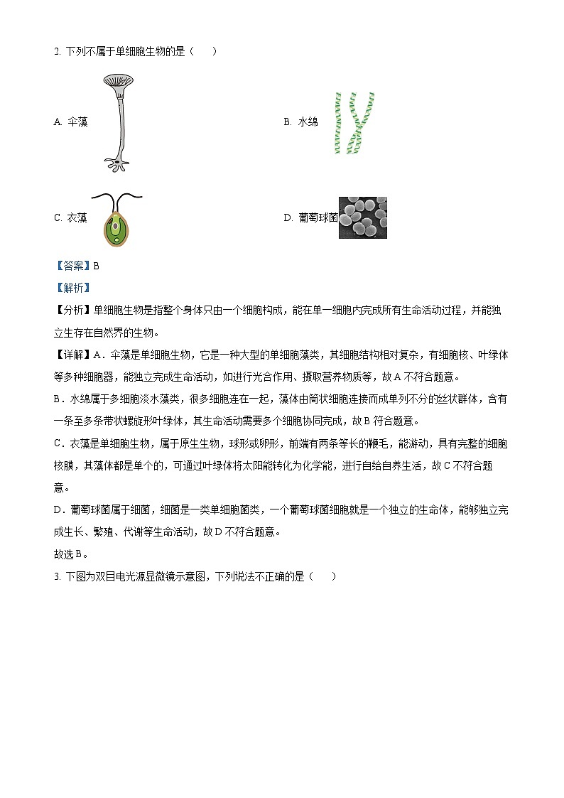 广东省汕尾市七年级上学期期末生物试题(解析版)-A4第2页