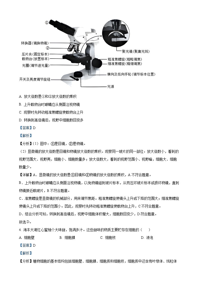 广东省汕尾市七年级上学期期末生物试题(解析版)-A4第3页