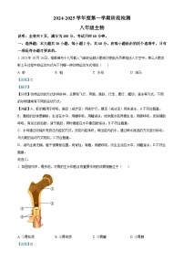 广东省云浮市罗定市八年级上学期期中生物试题(解析版)-A4