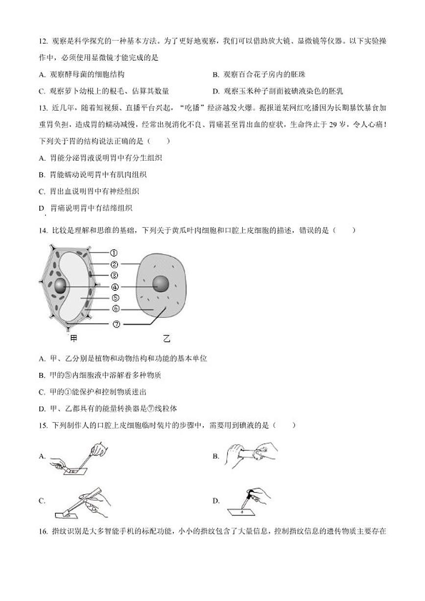2025-2026学年山东省烟台市招远市七年级上学期期末生物学试题第3页