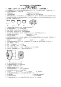 2025-2026学年安徽省度第一学期期末教学质量监测七年级生物卷试题（含答案）