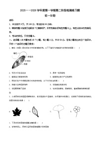 山东省烟台市莱山区2025-2026学年七年级上学期期末生物学试题(有解析)