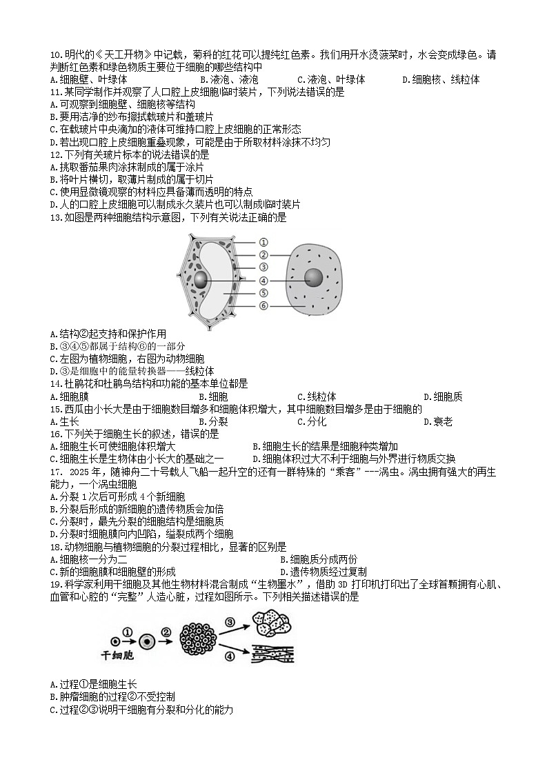 山东省淄博市博山区2025-2026学年第一学期七年级生物期末试卷(含答案)第2页