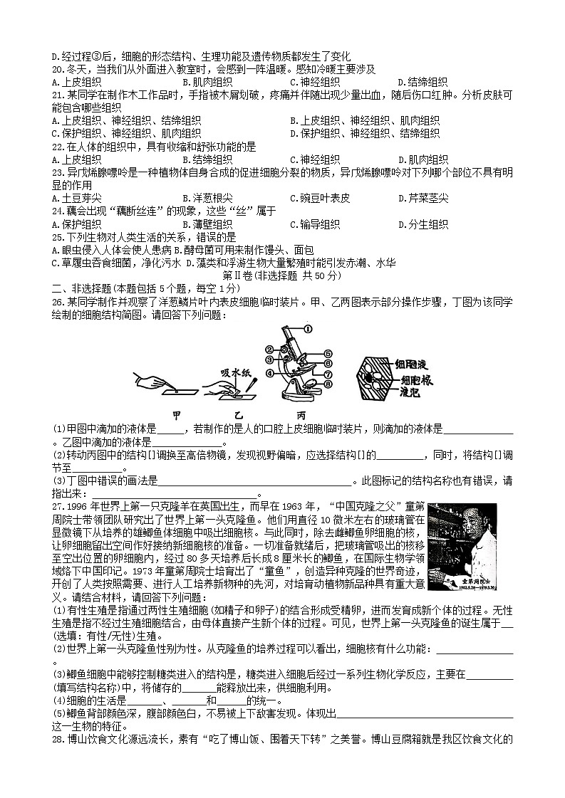 山东省淄博市博山区2025-2026学年第一学期七年级生物期末试卷(含答案)第3页