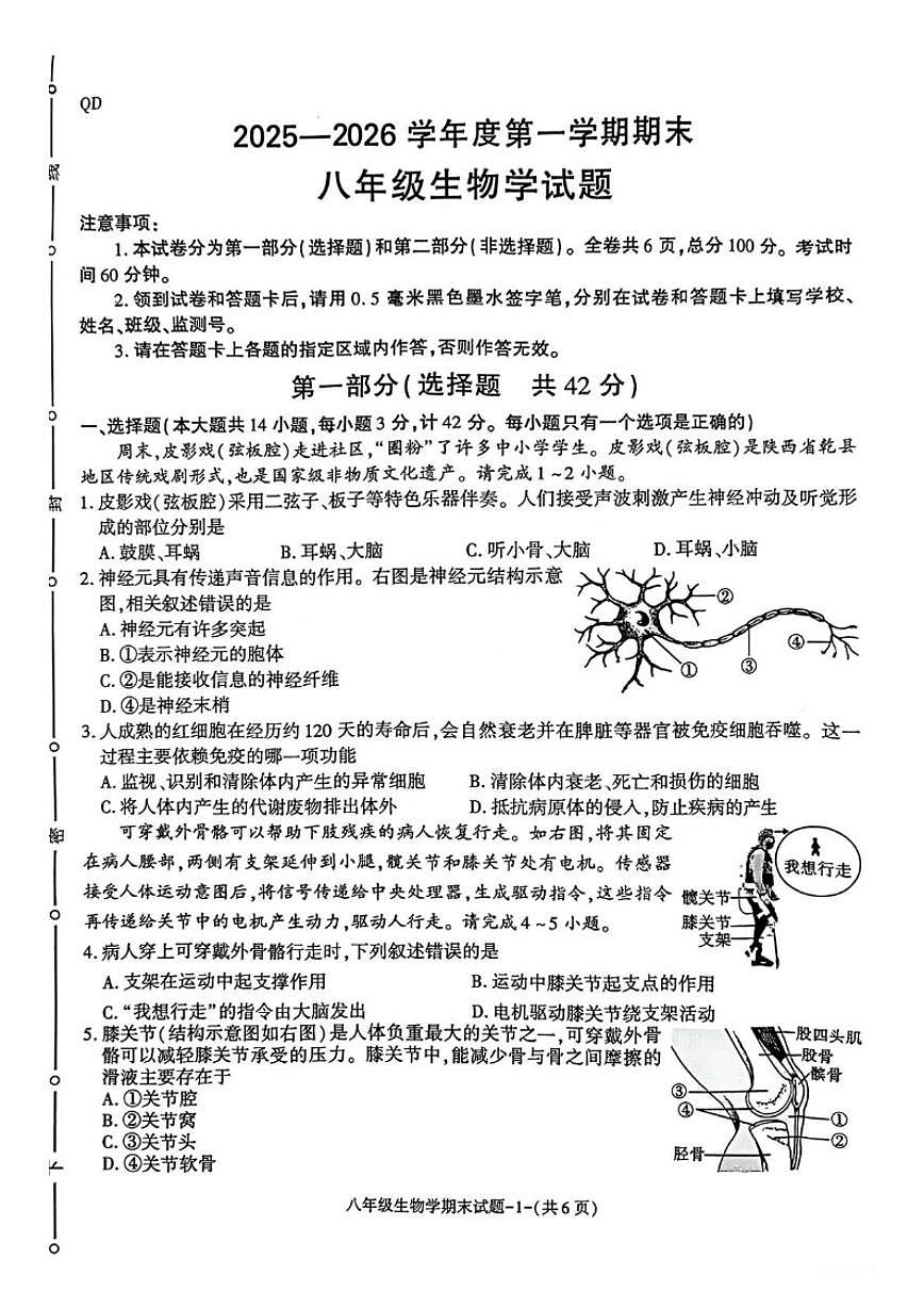 2025-2026学年陕西省咸阳市秦都区八年级上学期1月期末考试生物试卷(含答案)第1页