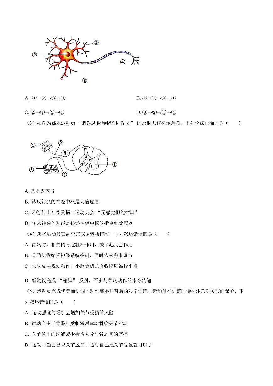 广东省汕尾市城区2025-2026学年八年级上学期期末生物学试题(有解析)第3页