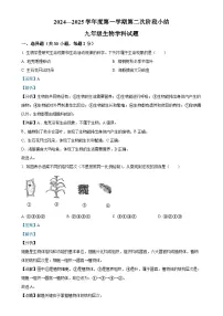 广东省揭阳真理中学九年级上学期第二次月考生物试题(解析版)-A4