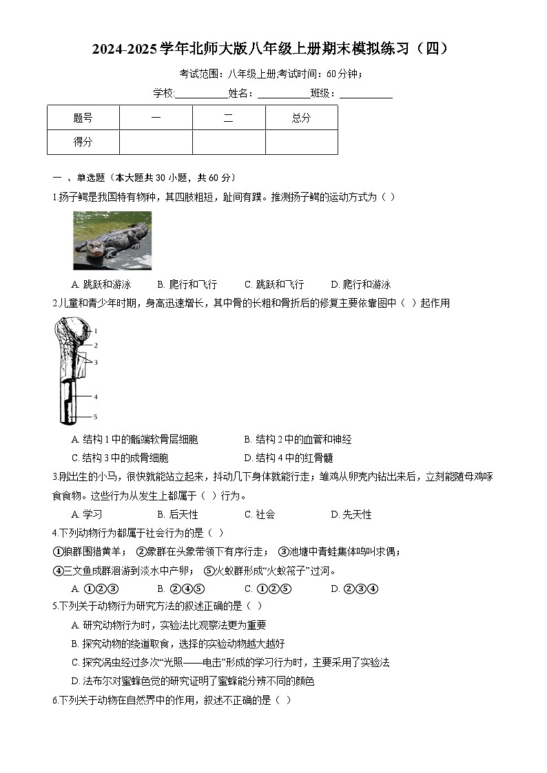 广东省梅州市八年级上学期期末考试生物模拟练习(四)-A4第1页