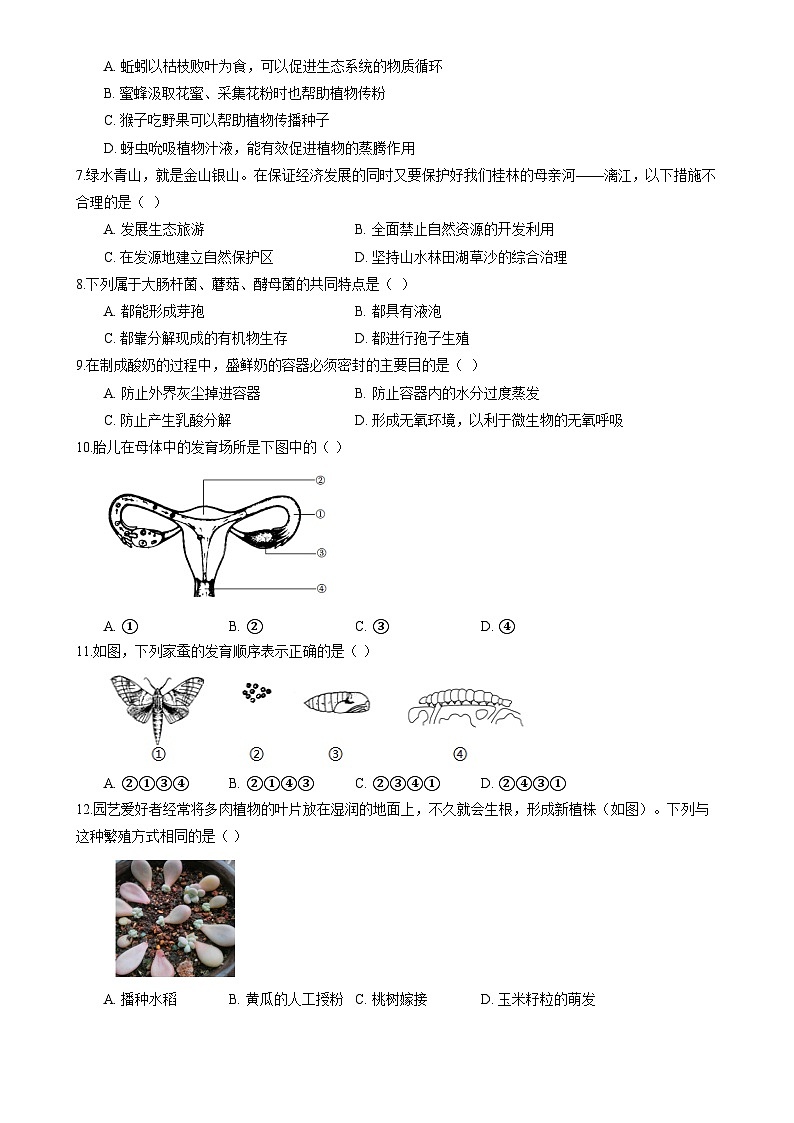 广东省梅州市八年级上学期期末考试生物模拟练习(四)-A4第2页