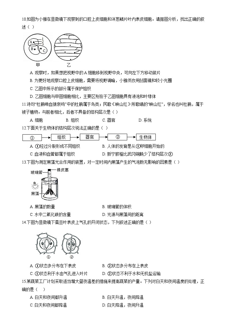 广东省梅州市七年级上学期期末考试生物模拟练习(三)-A4第2页