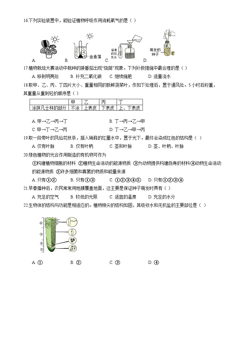 广东省梅州市七年级上学期期末考试生物模拟练习(三)-A4第3页