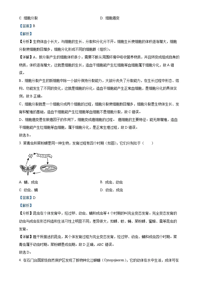 2025年广东省清远市英德市八年级中考一模生物试题(解析版)-A4第2页