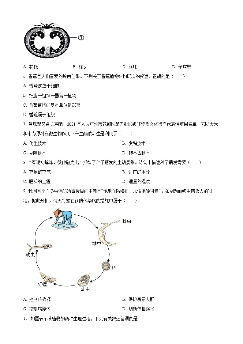 2025年广东省清远市英德市八年级中考一模生物试题(原卷版)-A4第2页