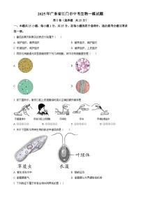 2025年广东省江门市中考一模生物试题（原卷版）-A4