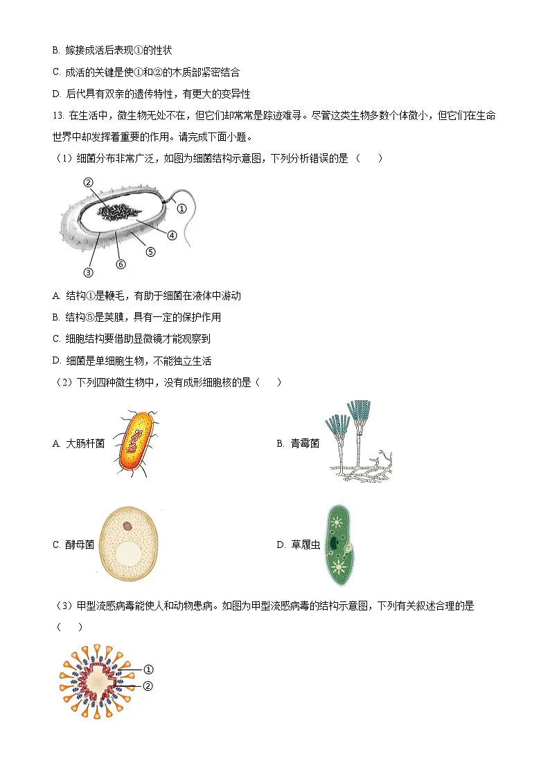 广东省揭阳市揭西县八年级上学期期末生物试题(原卷版)-A4第3页