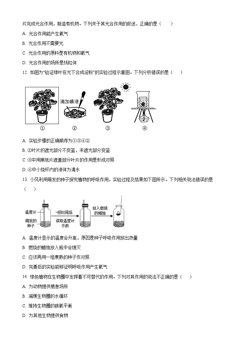 广西北海市2025-2026学年八年级上学期期末生物学试题(原卷+解析)第3页