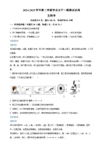 2025年广东省中山市中山纪念中学教育集团八年级中考一模生物试题(解析版)-A4