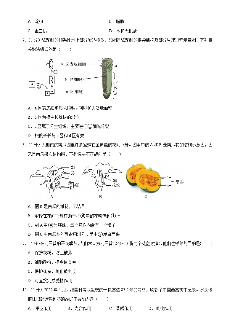 广东省深圳市宝安中学集团七年级下学期期中考试生物试卷-A4第2页
