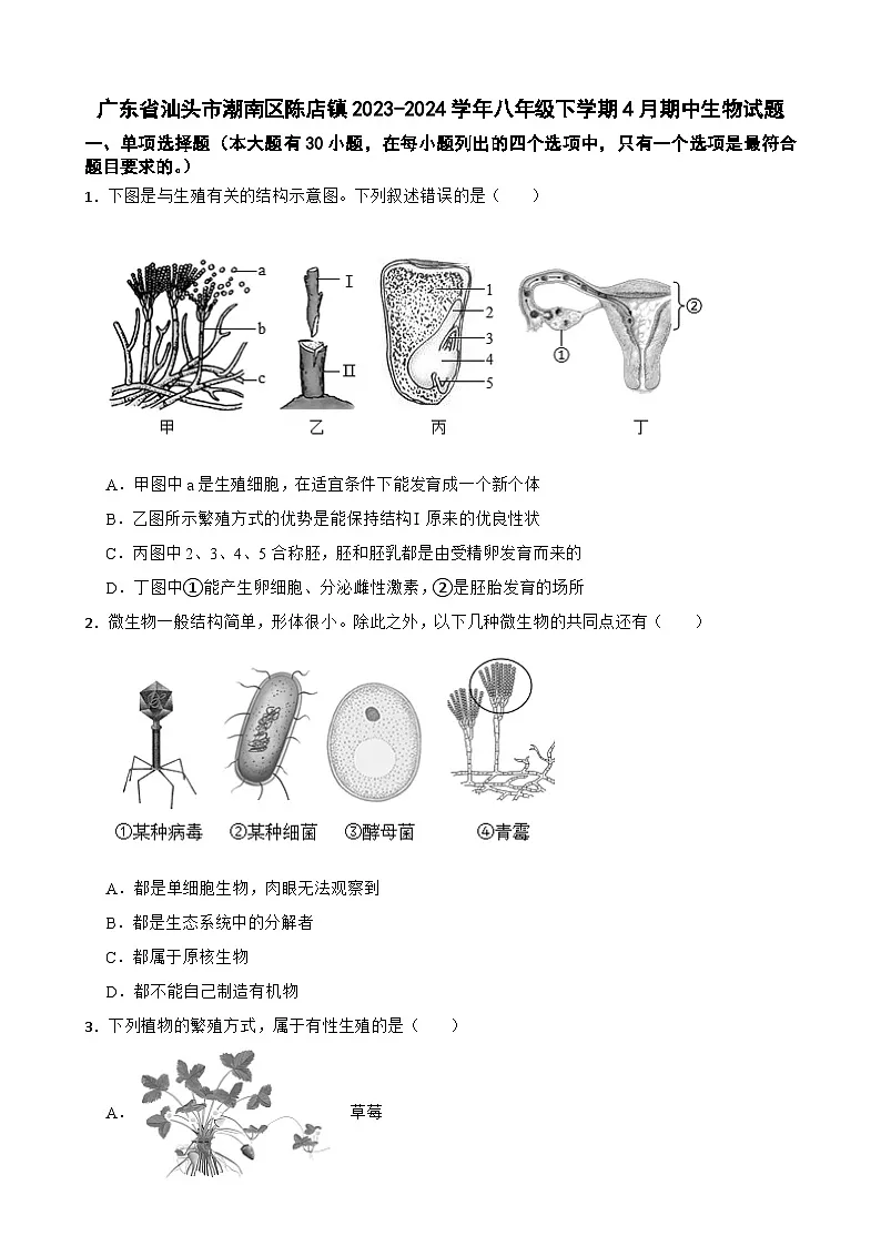 广东省汕头市潮南区陈店镇八年级下学期4月期中生物试题-A4第1页