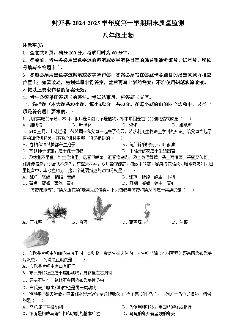 广东省肇庆市封开县八年级上学期期末生物试题-A4第1页