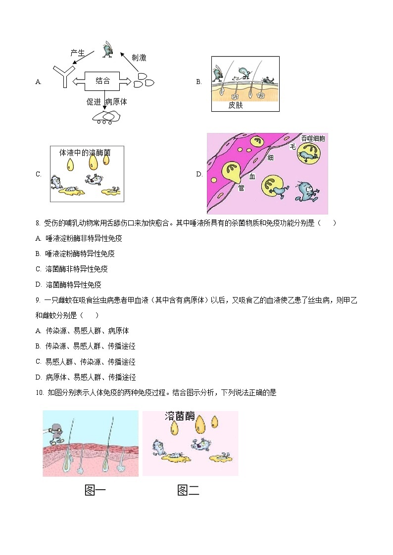 湖北省武汉市蔡甸区2025-2026学年八年级上学期期末生物学试题(原卷+解析)第3页