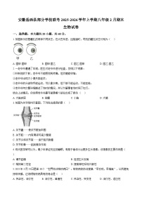 安徽省安庆市岳西县部分学校联考2025-2026学年八年级上学期2月期末生物学试题含答案