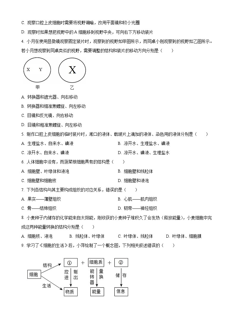四川省广元市苍溪县2025-2026学年七年级上学期期末生物学试题(原卷+解析)第2页