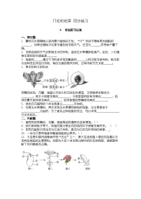 人教版（2024）七年级下册（2024）开花和结果测试题