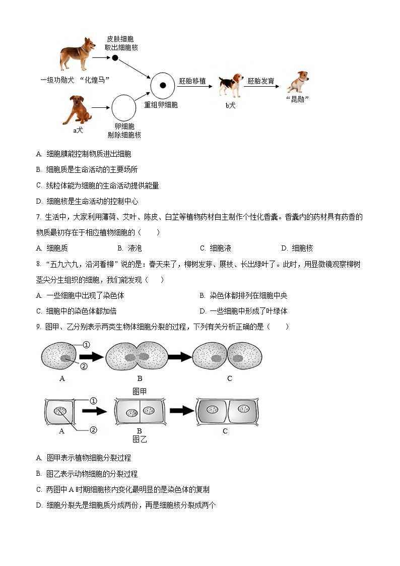 湖南常德市安乡县2025-2026学年七年级上学期期末质量监测生物试题(试卷+解析)第2页