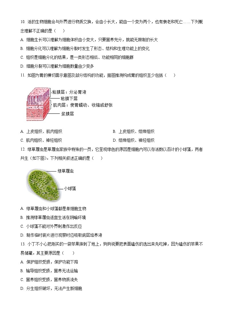 湖南常德市安乡县2025-2026学年七年级上学期期末质量监测生物试题(试卷+解析)第3页