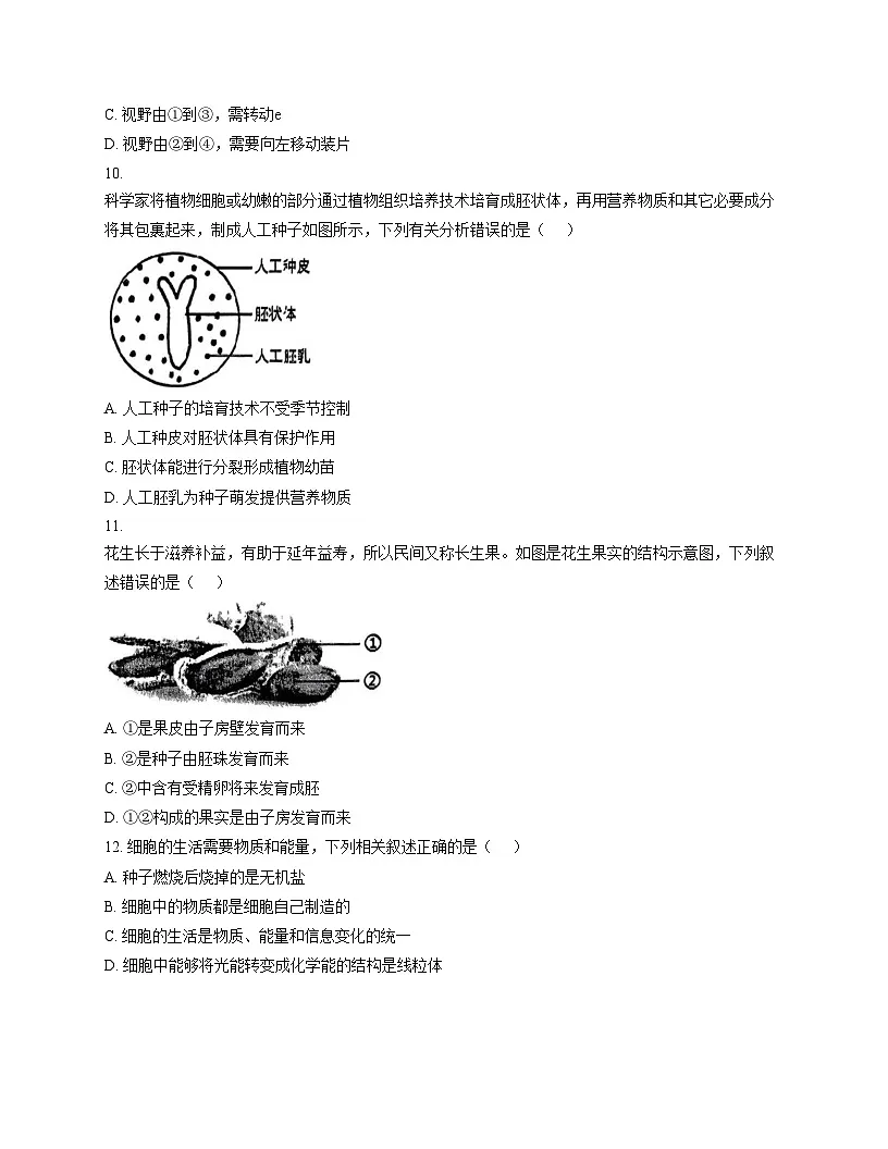 河南省信阳市淮滨县2025_2026学年七年级上学期期中考试生物试题(文字版,含答案)第3页