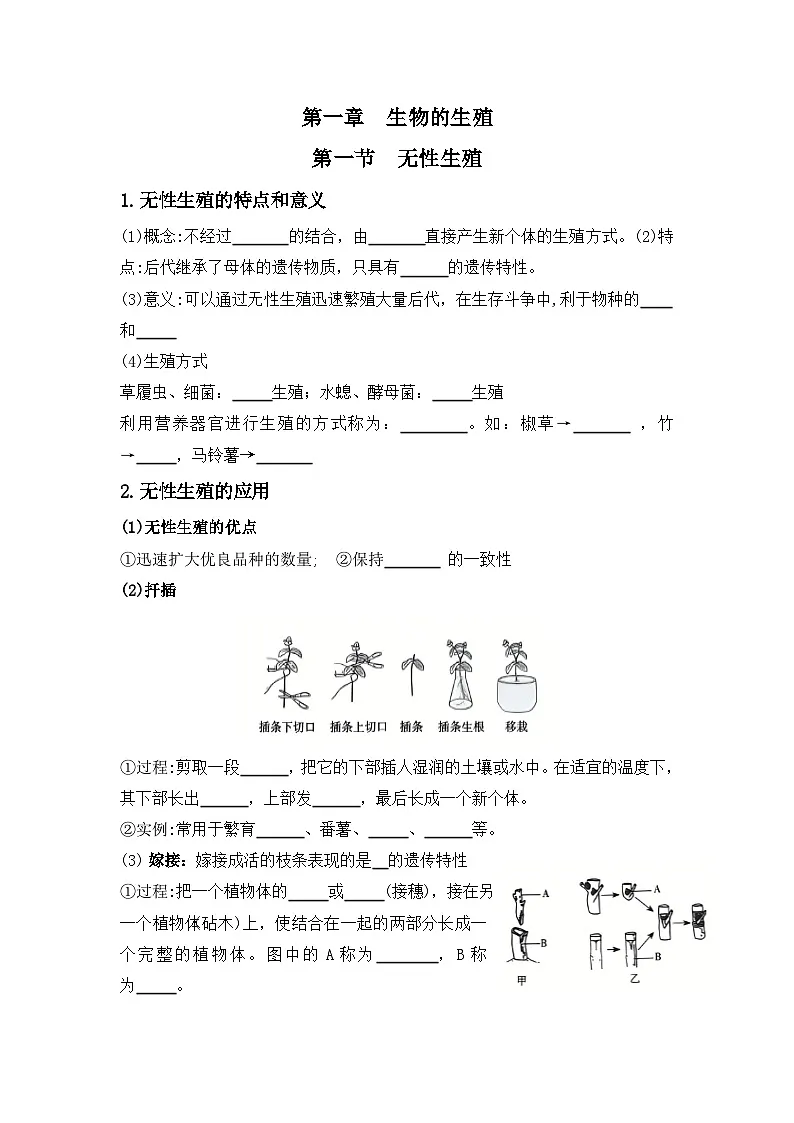 6.1生物的生殖(学生版)第1页