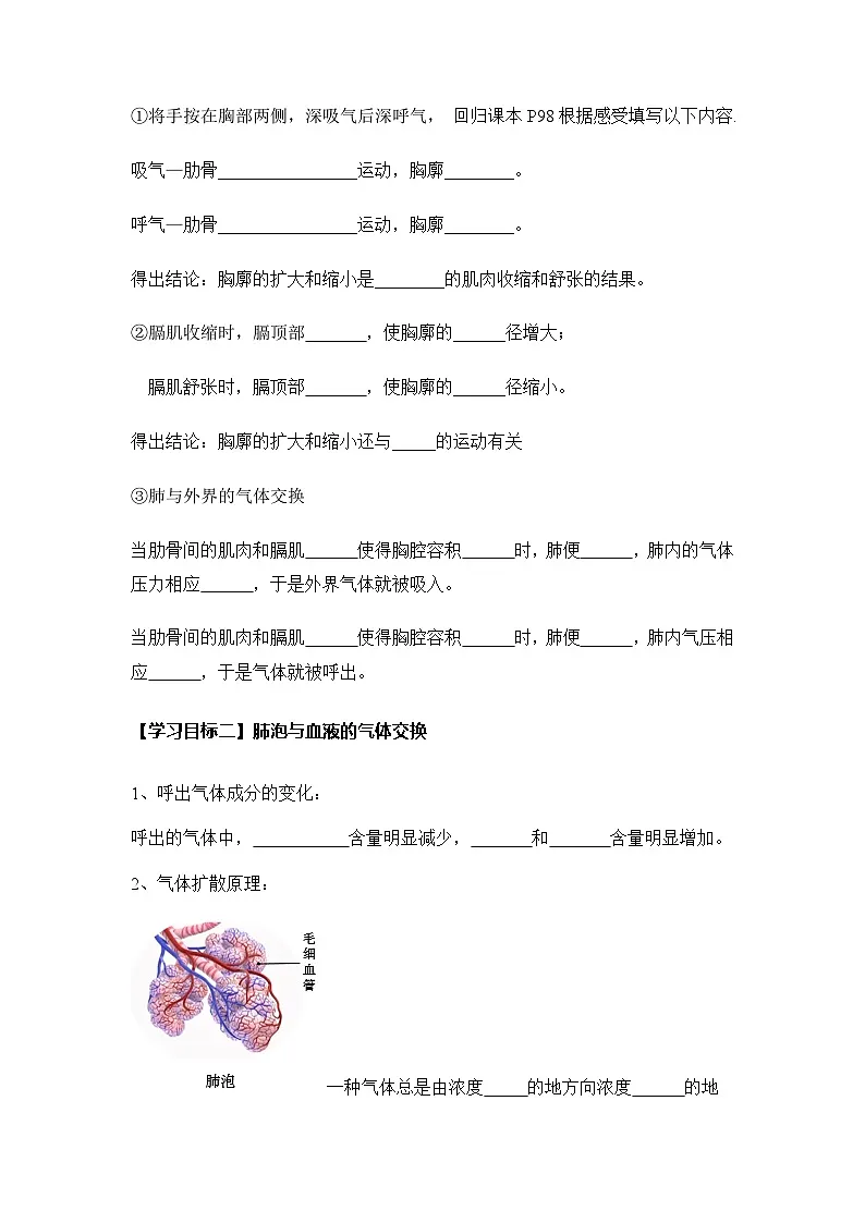4.3.2 发生在肺内的气体交换(导学案)(原卷版)初中生物人教版(2024)七年级下册第2页