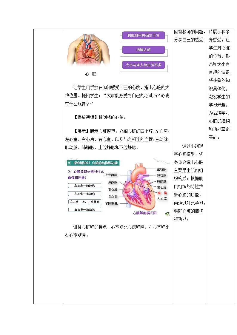4.4.3 输送血液的泵——心脏(教学设计)初中生物人教版(2024)七年级下册第3页