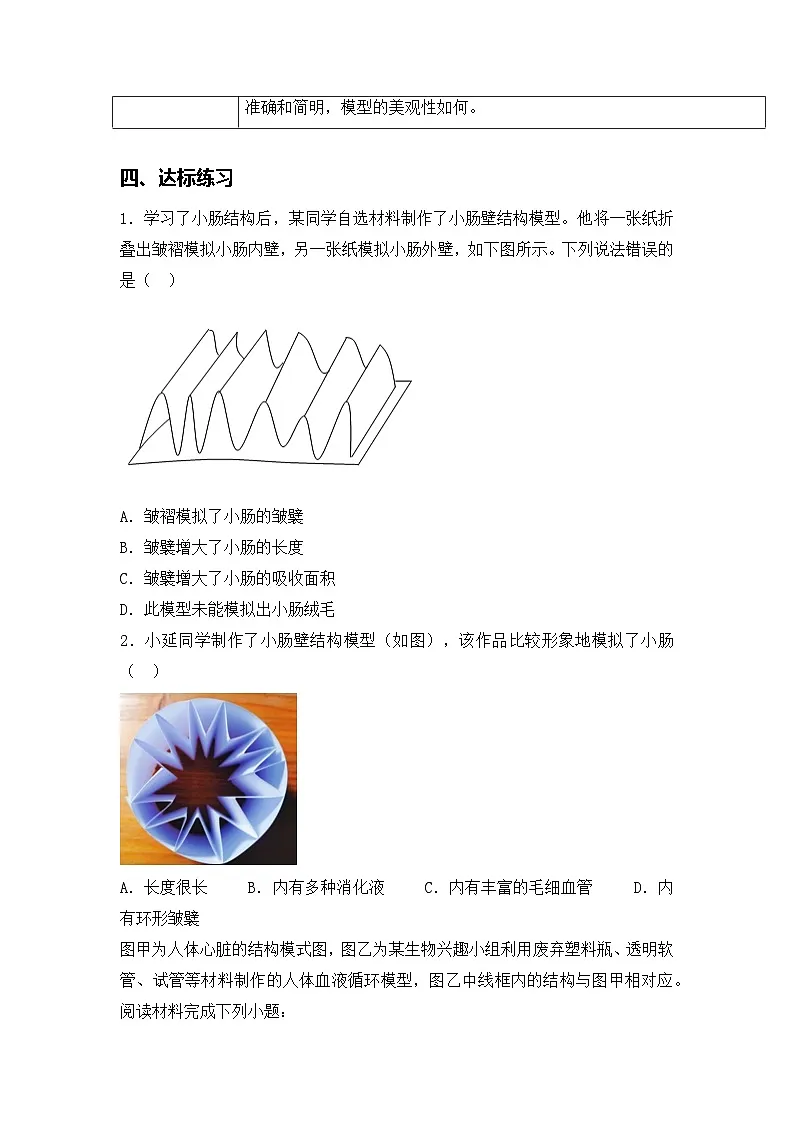 设计并制作人体结构模型(导学案)(原卷版)初中生物人教版(2024)七年级下册第3页