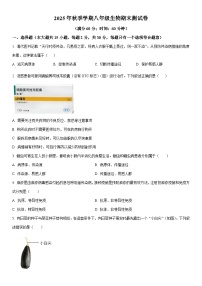 2025-2026学年广西防城港市上思县八年级上学期期末生物试卷（学生版）