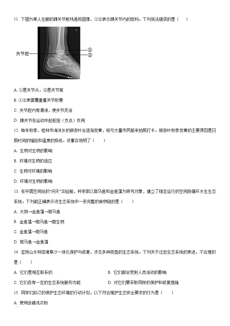 2025-2026学年广西桂林市八年级上学期期末生物试卷(学生版)第3页