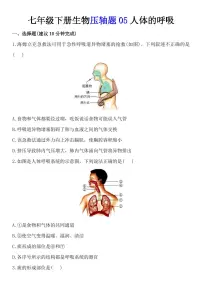 生物人教版（2024）人体的呼吸习题