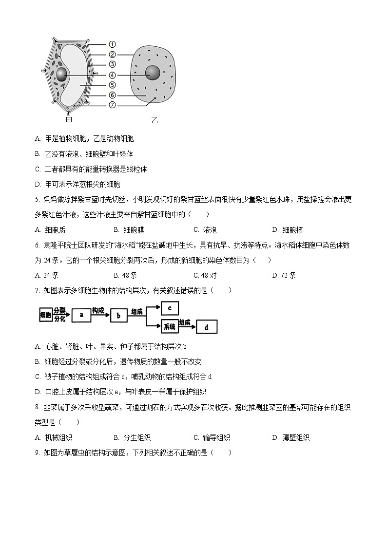 山东省聊城市莘县2025-2026学年七年级上学期期末生物学试题(试卷+解析)第2页