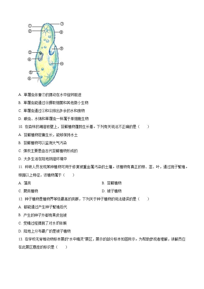 山东省聊城市莘县2025-2026学年七年级上学期期末生物学试题(试卷+解析)第3页