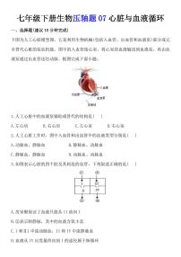 2024版人教版七年级下册生物期末压轴题07心脏与血液循环专项练习含答案
